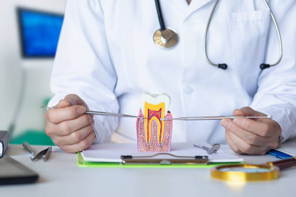 Best Weekend Emergency Dentist in Shawnee, OK